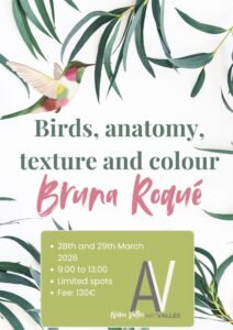 Curso de ilustración de aves Bruna Roqué